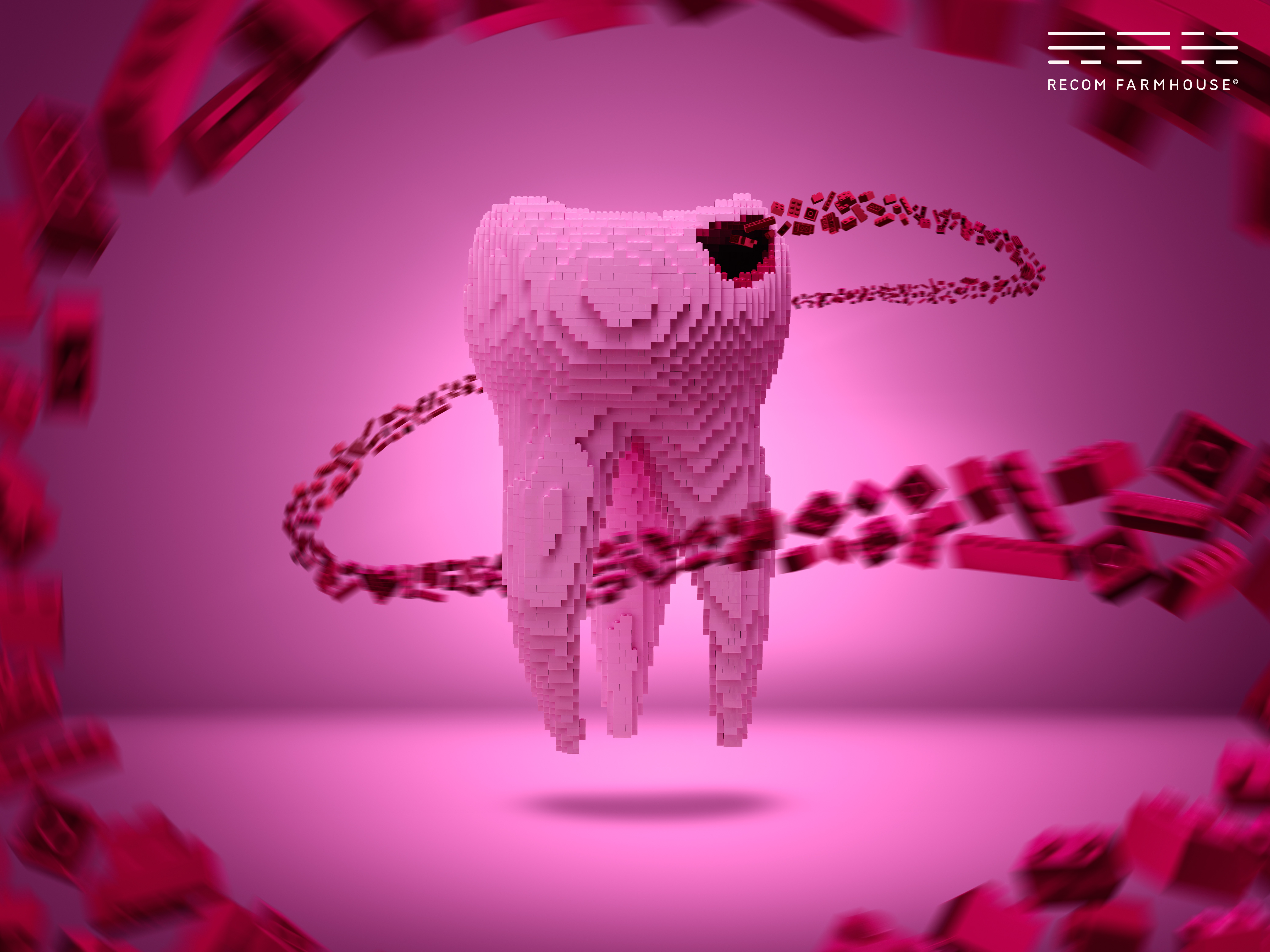 Organogenesis / Andrei Duman